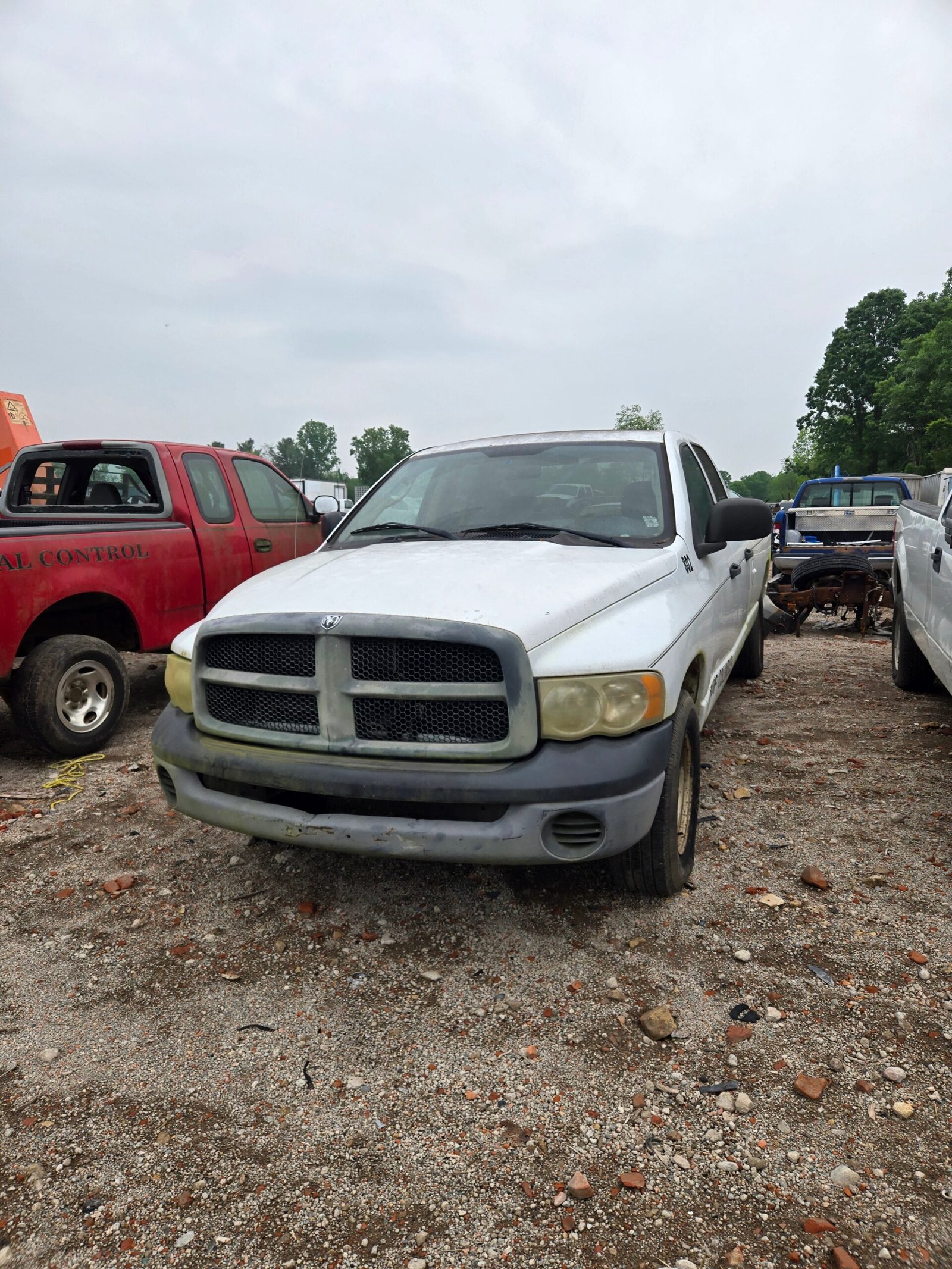 2004 Dodge Ram 1500 Crew Cab 8' Long Bed 2wd - FULL PART OUT - Image 9