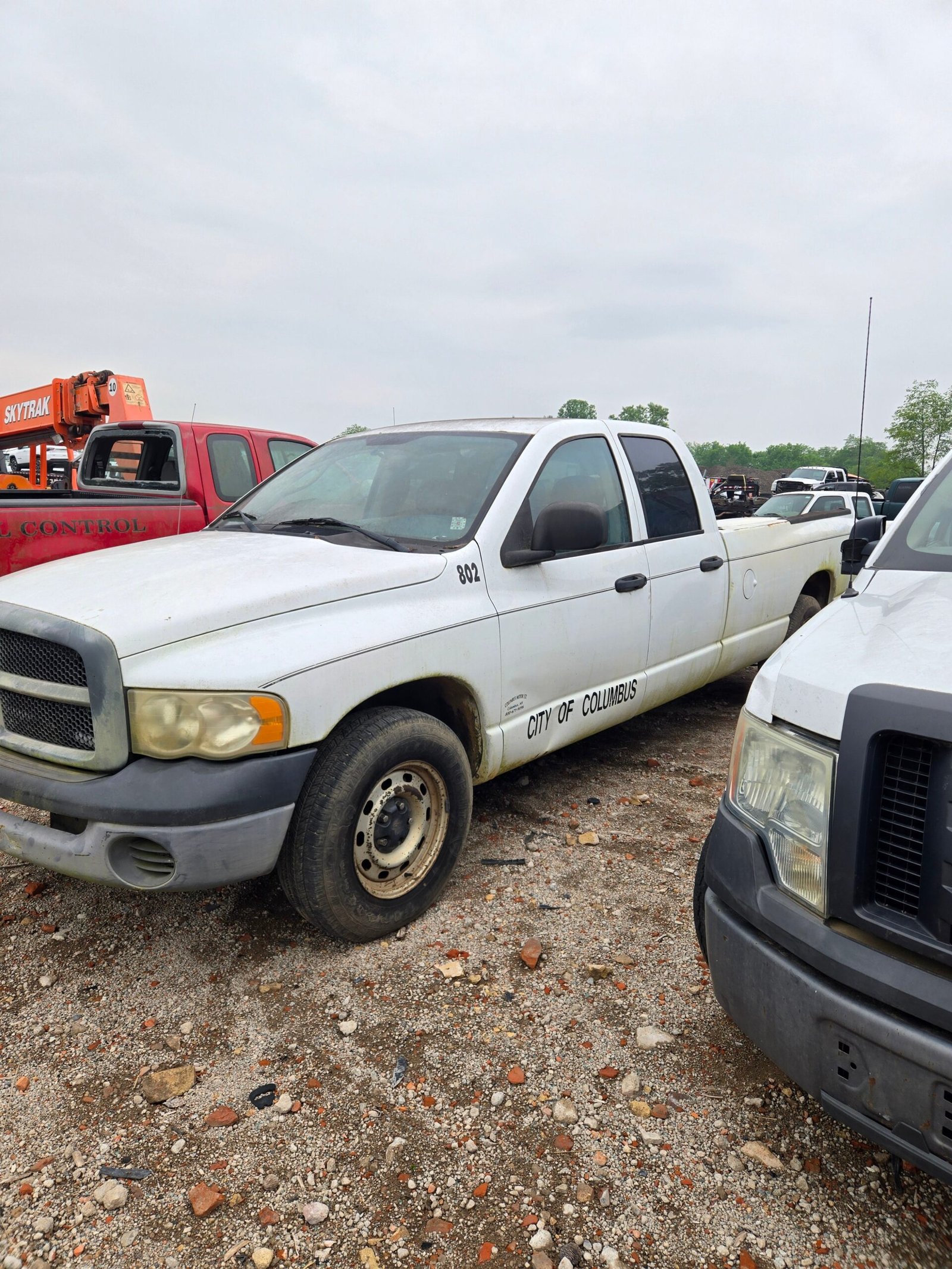 2004 Dodge Ram 1500 Crew Cab 8' Long Bed 2wd - FULL PART OUT - Image 10