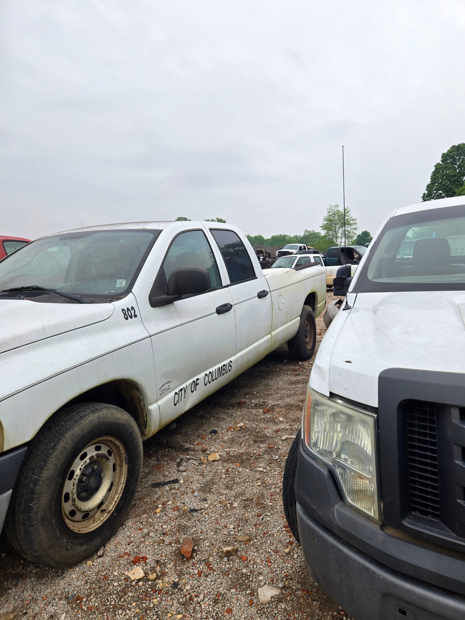 2004 Dodge Ram 1500 Crew Cab 8' Long Bed 2wd - FULL PART OUT - Image 3