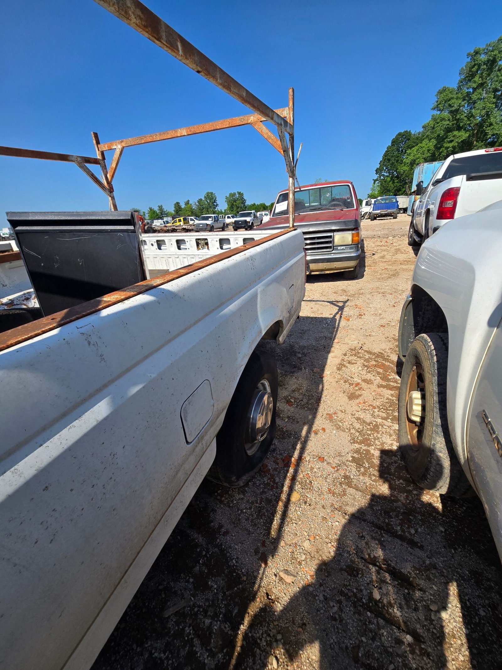 1995 Ford F250 Regular Cab 8' Long Bed OBS - FULL PART OUT - Image 7