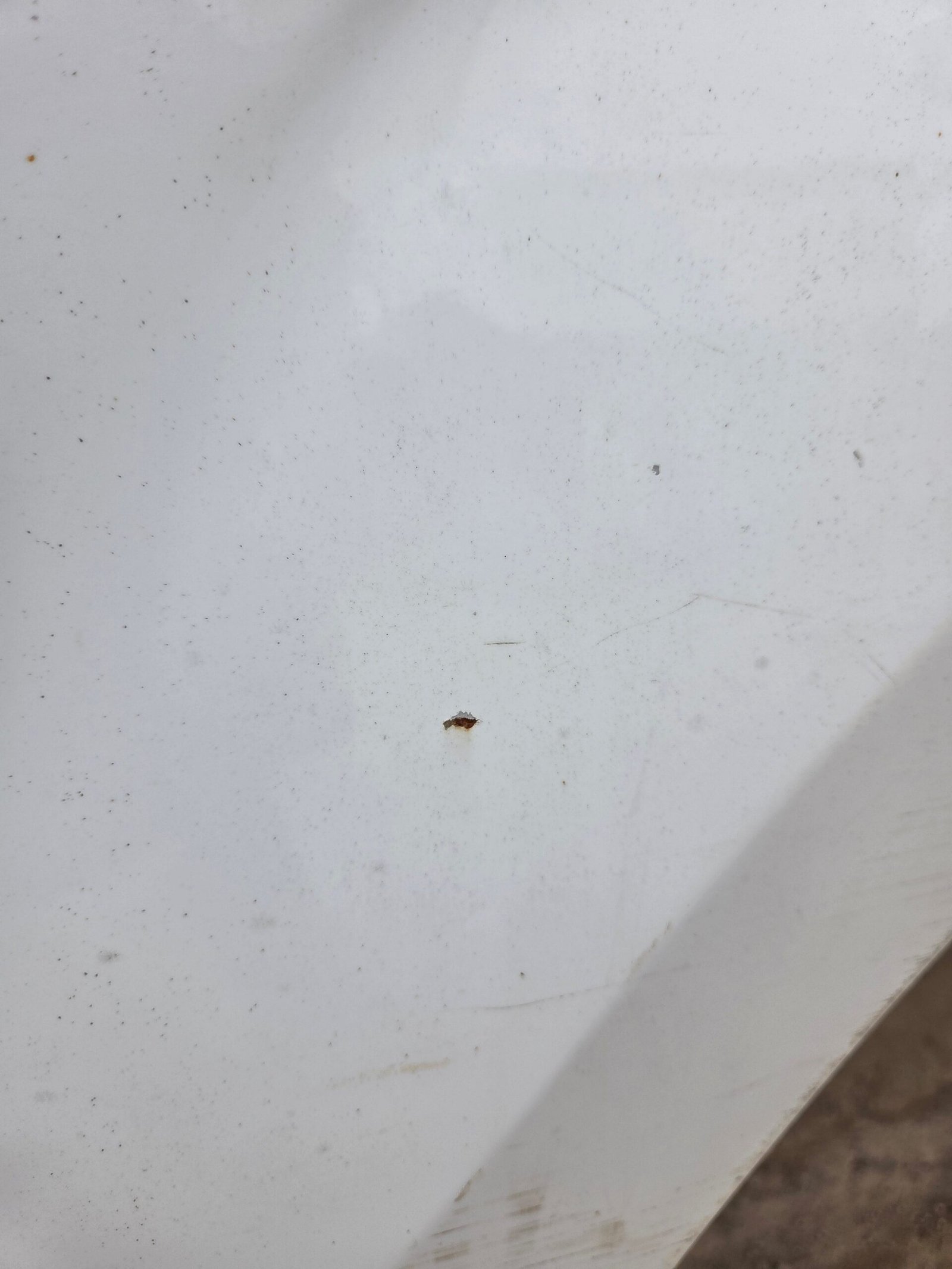 2009-2014 Ford F150 8' Long Truck Bed - Image 90